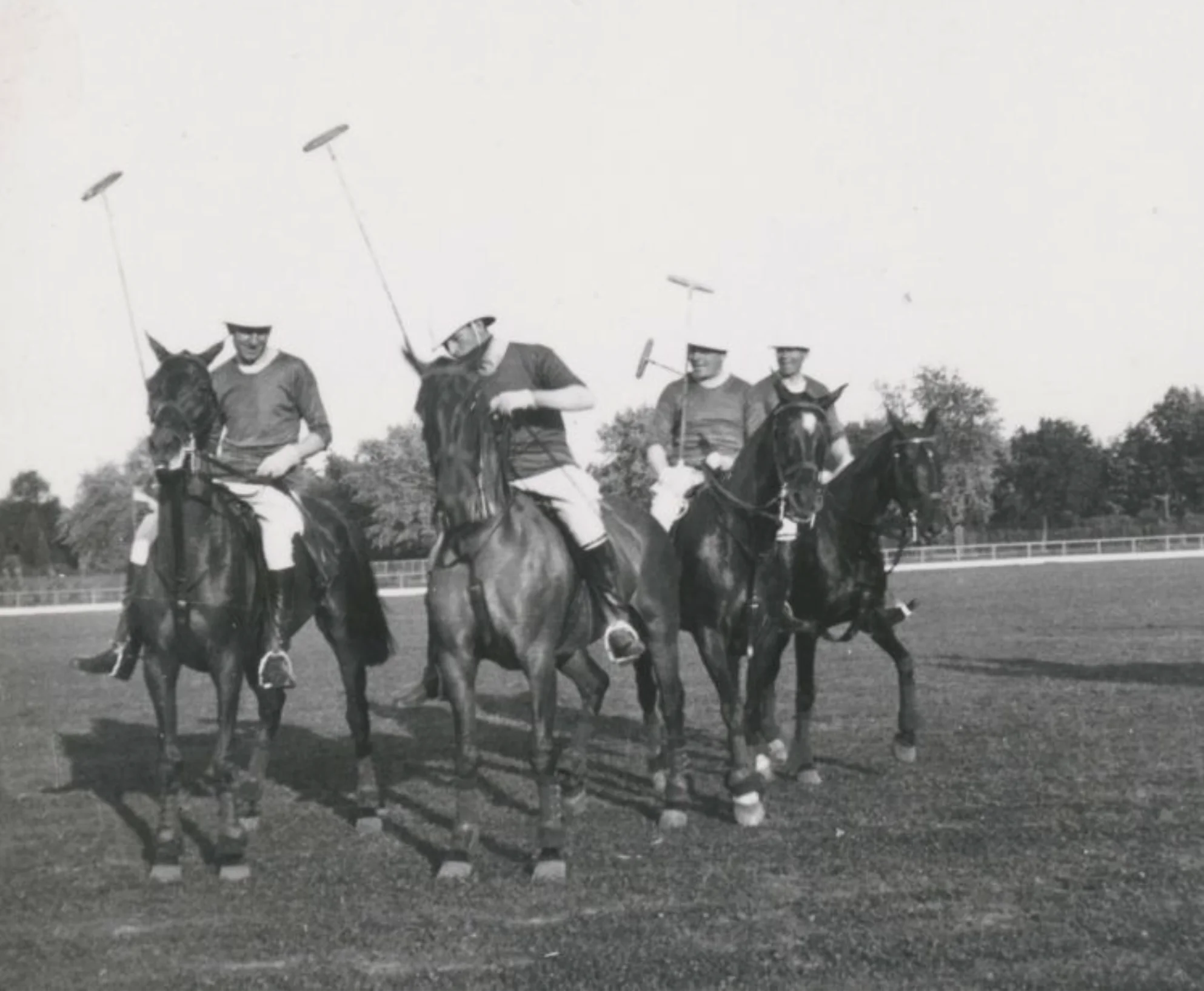 Historia polskiego polo